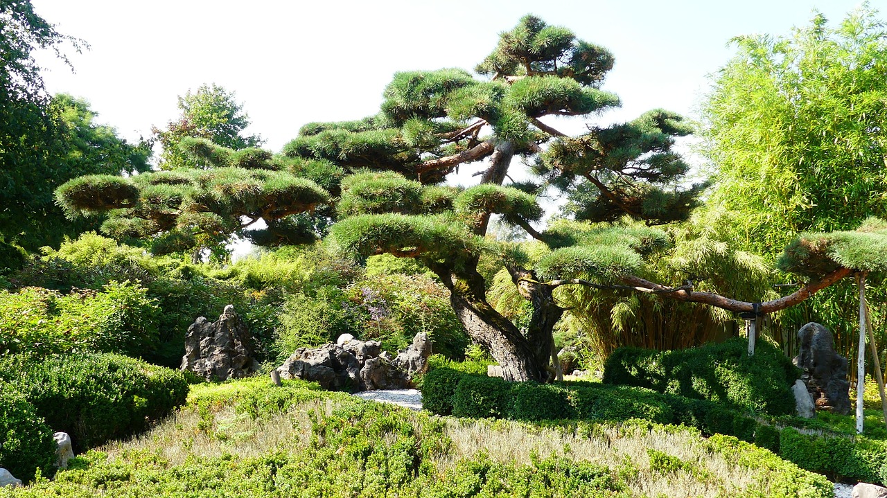 Japanese gardens