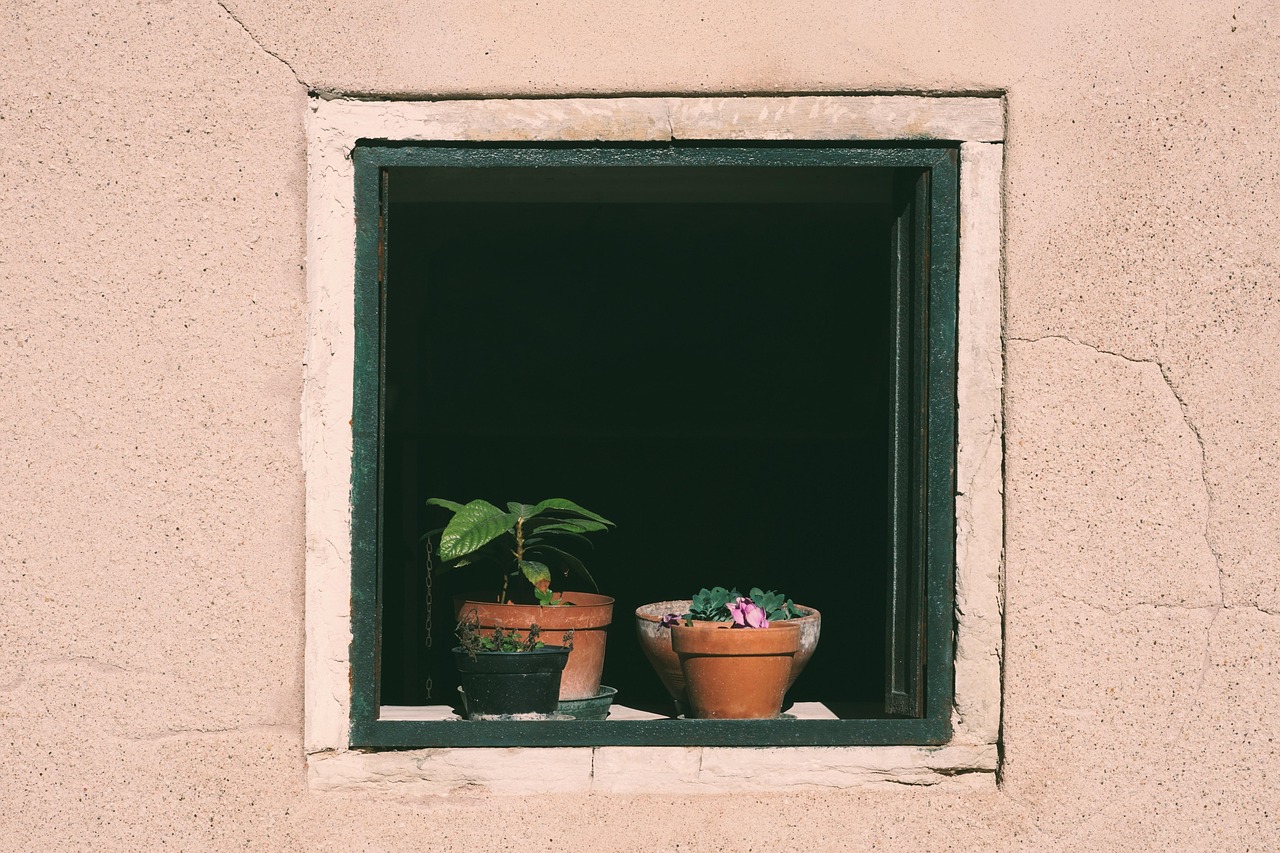 Customer insights