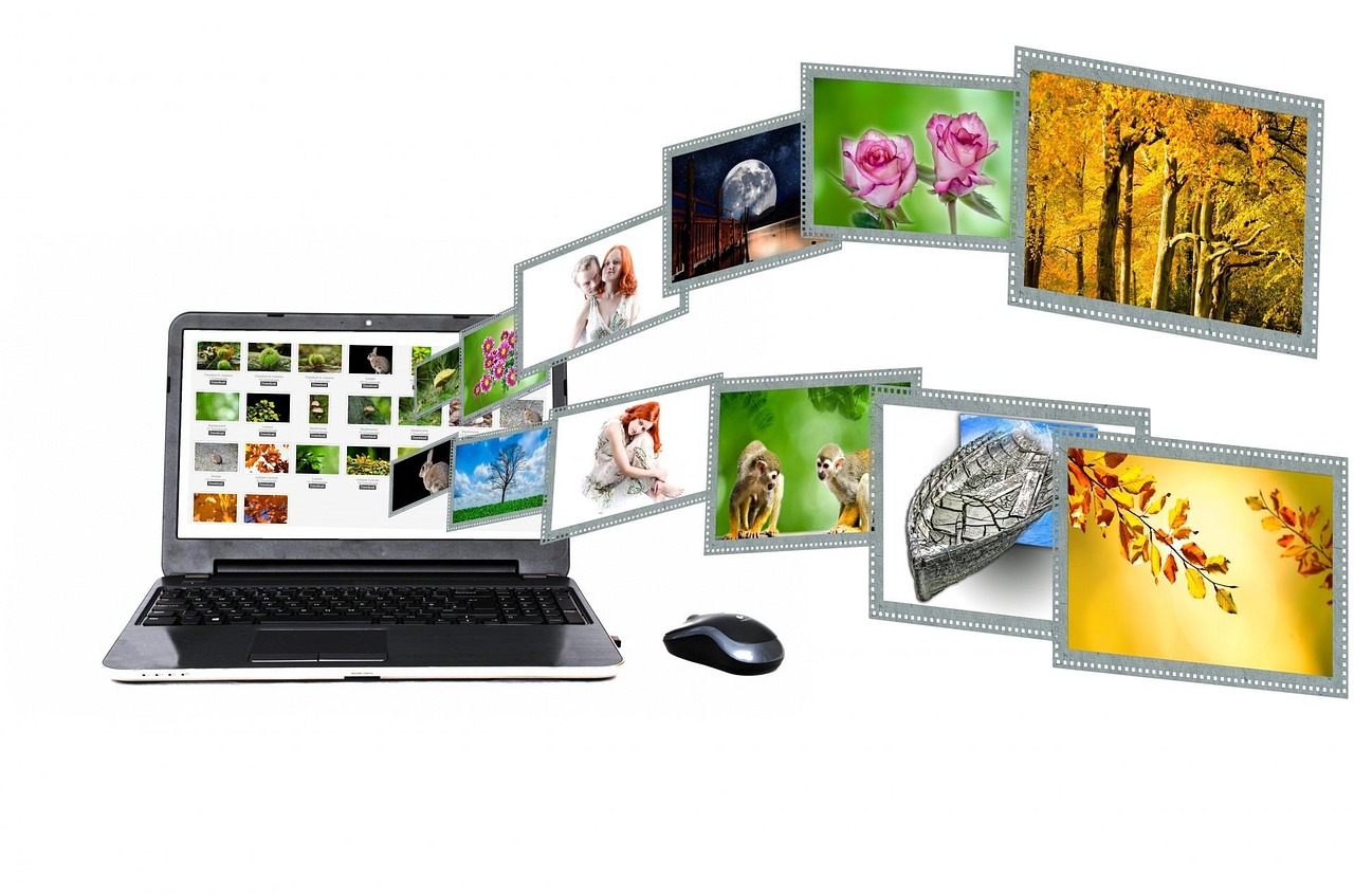 Image search