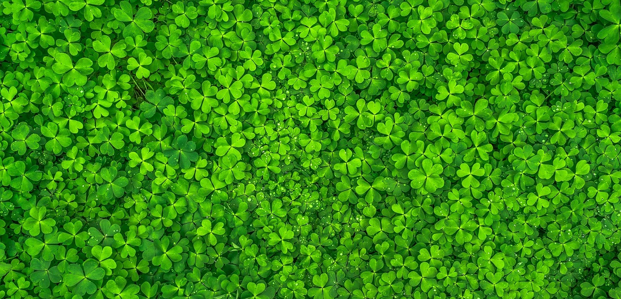 Probability luck