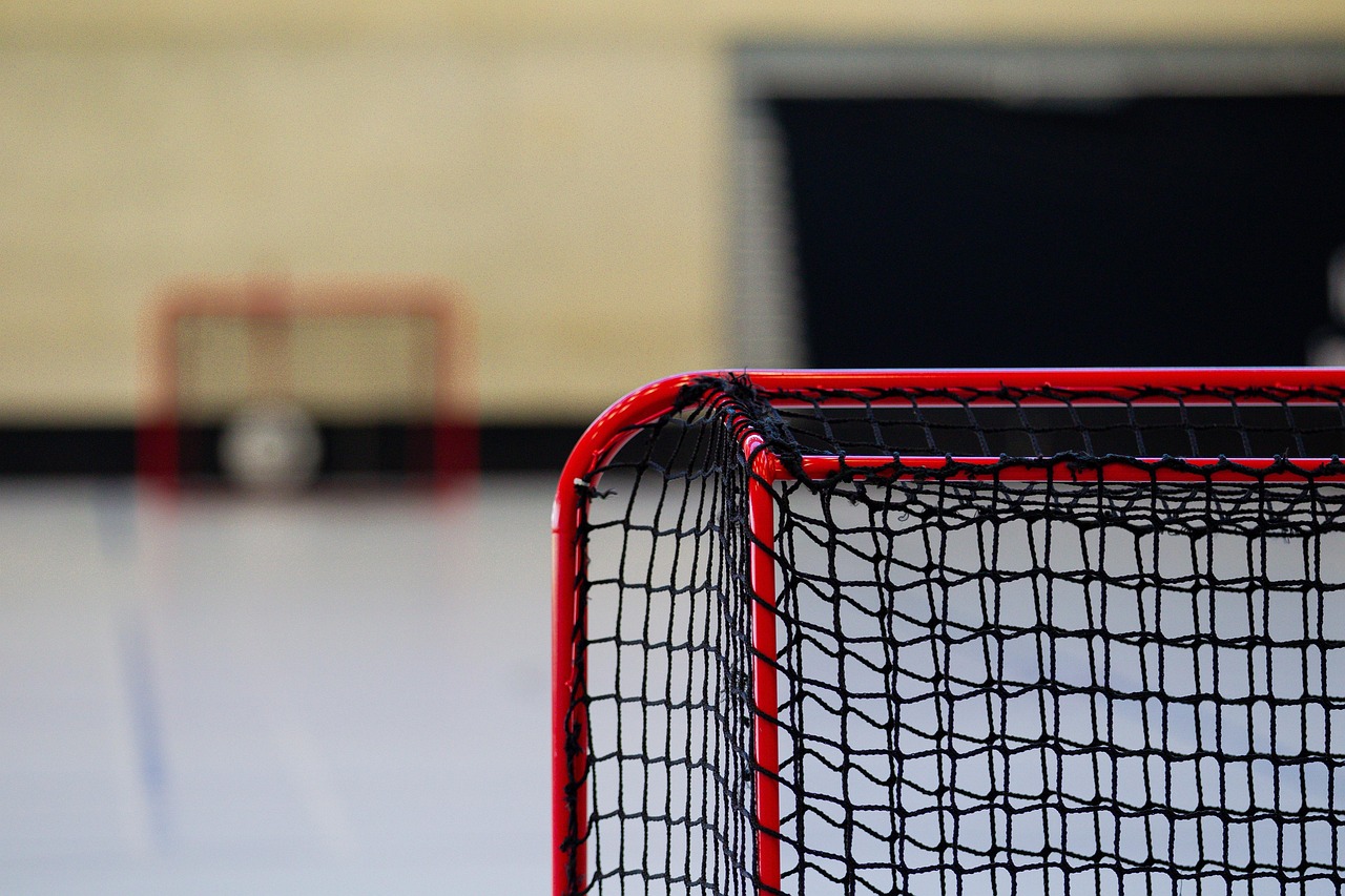 Sports arena expansion