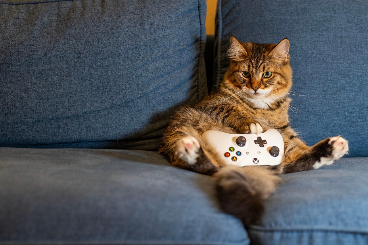 esports gaming